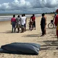 Pai e filho morrem afogados após mergulho em praia turística na Bahia imagem