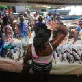 Projeto do VLT já rende frutos para marisqueiras e pescadores do Subúrbio imagem