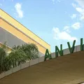 Remédios sem registro e “xarope milagroso” são proibidos pela Anvisa imagem