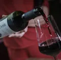 Rota do Vinho passa por cinco cidades baianas em 2025 imagem