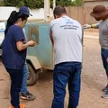 Sete cães morrem envenenados na Bahia e polícia abre investigação imagem