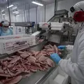 Tarifa dos EUA: governo libera compra de açaí, manga, mel e pescados imagem