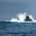 Tecnologia inédita: projeto pode tornar potável água do oceano pacífico imagem