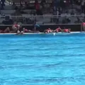 Vídeo: tiros interrompem jogo do Mundial Sub-20 de Polo Aquático em Salvador imagem