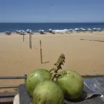 Novo feriado nacional deve gerar feriadão de 4 dias ainda em 2025 - Imagem