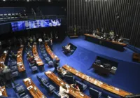 Adultização infantil na internet: Senado vota ‘ECA Digital’ imagem