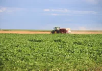 Agricultura familiar de Feira alimenta Salvador e Região Metropolitana