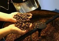 Alvo de tarifaço dos EUA, café brasileiro vai parar na China; entenda imagem