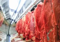 Brasil conquista novo mercado de carne bovina após tarifaço de Trump imagem