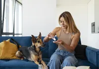 Casa limpa e pet seguro: veja como higienizar o lar sem riscos aos animais imagem