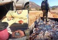 Chinês é preso por gerir garimpo ilegal com explosivos na Bahia imagem