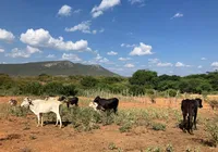 Comunidades rurais recebem orientações sobre convivência com felinos