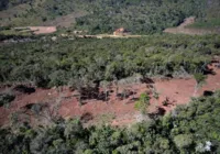 Congresso debate objetivos de desenvolvimento sustentável