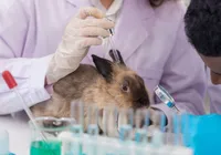 Conheça as marcas de cosméticos que não testam em animais imagem