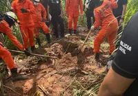 Corpo é achado em mata de Salvador e polícia investiga cemitério clandestino imagem