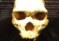 Crânio de 300 mil anos encontrado na Grécia não é humano ou neandertal