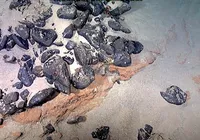 EUA está de olho em território submerso do Brasil rico em terras raras imagem