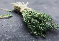 Gripou? Essa é a planta mais recomendada para gripe e dor de garganta imagem