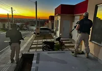 Grupo criminoso responsável por homicídios é alvo de operação na Bahia imagem