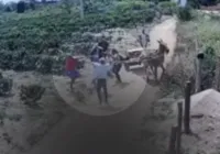 Homem é assassinado a pauladas; mãe e irmãos são suspeitos