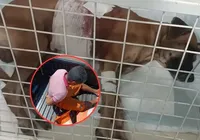Homem é preso após esfaquear o próprio cachorro