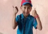 Menino de 8 anos morre após ser picado por escorpião em casamento