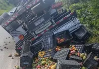 Motorista morre após caminhão tombar em rodovia de Jequié