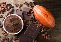 O sabor irresistível do chocolate pode se tornar mais delicioso graças a fermentação imagem