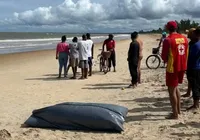 Pai e filho morrem afogados após mergulho em praia turística na Bahia imagem