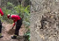 Policiais militares localizam corpos esquartejados em área de mata imagem
