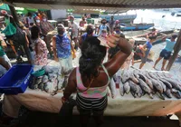 Projeto do VLT já rende frutos para marisqueiras e pescadores do Subúrbio imagem