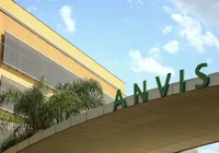 Remédios sem registro e “xarope milagroso” são proibidos pela Anvisa imagem
