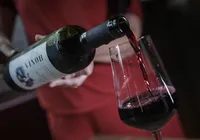 Rota do Vinho passa por cinco cidades baianas em 2025