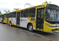 Sem padronização? Ônibus vão retomar pintura nas cores originais imagem