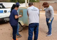 Sete cães morrem envenenados na Bahia e polícia abre investigação imagem