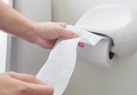 Substituto do papel higiênico? Tecnologia japonesa chega ao Brasil imagem