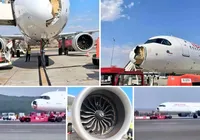 VÍDEO: avião colide com aves e tem parte frontal destruída durante voo imagem