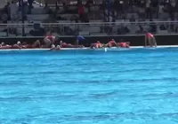Vídeo: tiros interrompem jogo do Mundial Sub-20 de Polo Aquático em Salvador imagem