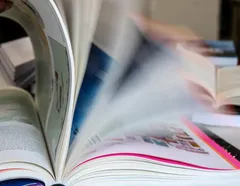 Veja 8 palavras que podem entrar para o vocabulário da língua portuguesa - Imagem