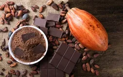 O sabor irresistível do chocolate pode se tornar mais delicioso graças a fermentação - Imagem