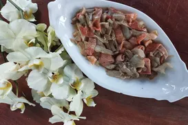 Cogumelos inspiram produtores e despertam criatividade na gastronomia - Imagem