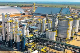 Produção de sorgo cresce 39% na Bahia e ganha espaço no setor de biocombustíveis - Imagem