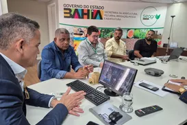 Reunião setorial discute inovação e valorização do sisal na Bahia - Imagem