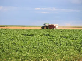 Agricultura familiar de Feira alimenta Salvador e Região Metropolitana - Imagem