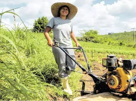 Microcrédito estimula e amplia protagonismo feminino no campo - Imagem
