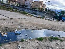 Moradores de cidade baiana sofrem com esgoto, mau cheiro e mosquitos - Imagem