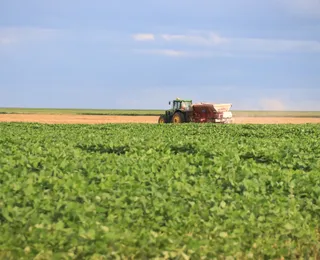 Agricultura familiar de Feira alimenta Salvador e Região Metropolitana