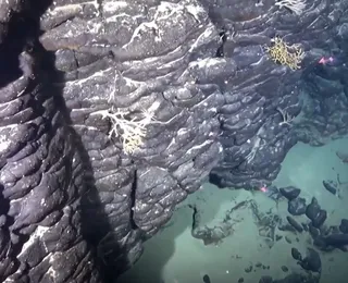 Brasil terá 'ilha submersa'? Governo quer espaço como território nacional