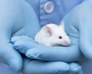 Brasil vai dar adeus aos testes em animais? Projeto avança na Câmara