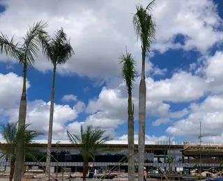 COP30 em Belém: crise na hospedagem pode mudar o local do evento?